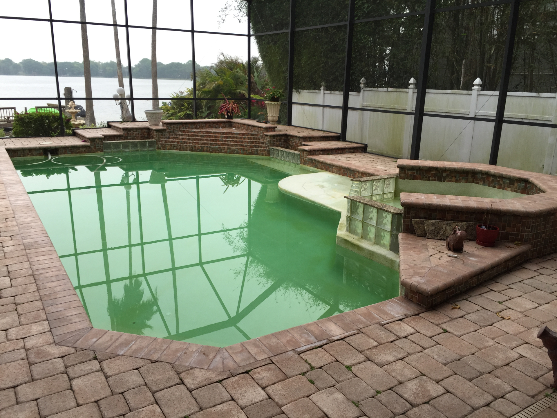 Before: Outdated green pool needing remodeling in Tampa Bay